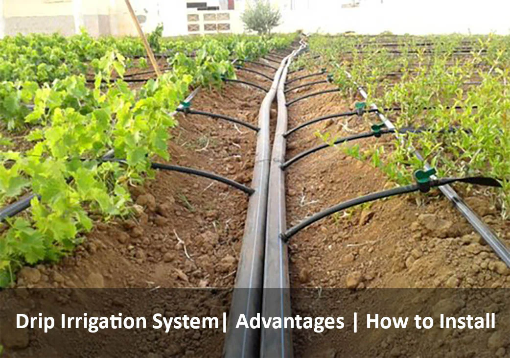 Setting Up Drip Irrigation for a Small Farm