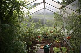 Starting a Small-Scale Greenhouse